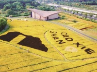 苏州：金鸡湖畔遇见“新江南”