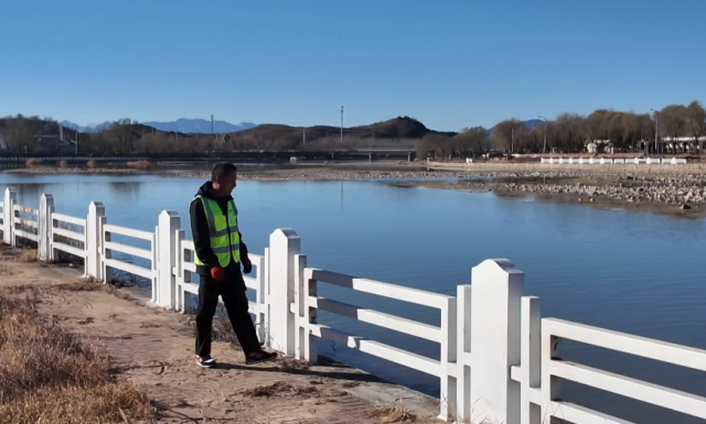 北京密云：三种珍稀天鹅首次同框