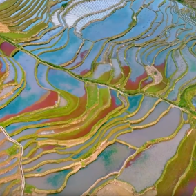 云南元阳哈尼梯田：刻在大地上的千年画卷_fororder_db93276c-86f7-466d-9523-889a87fba840
