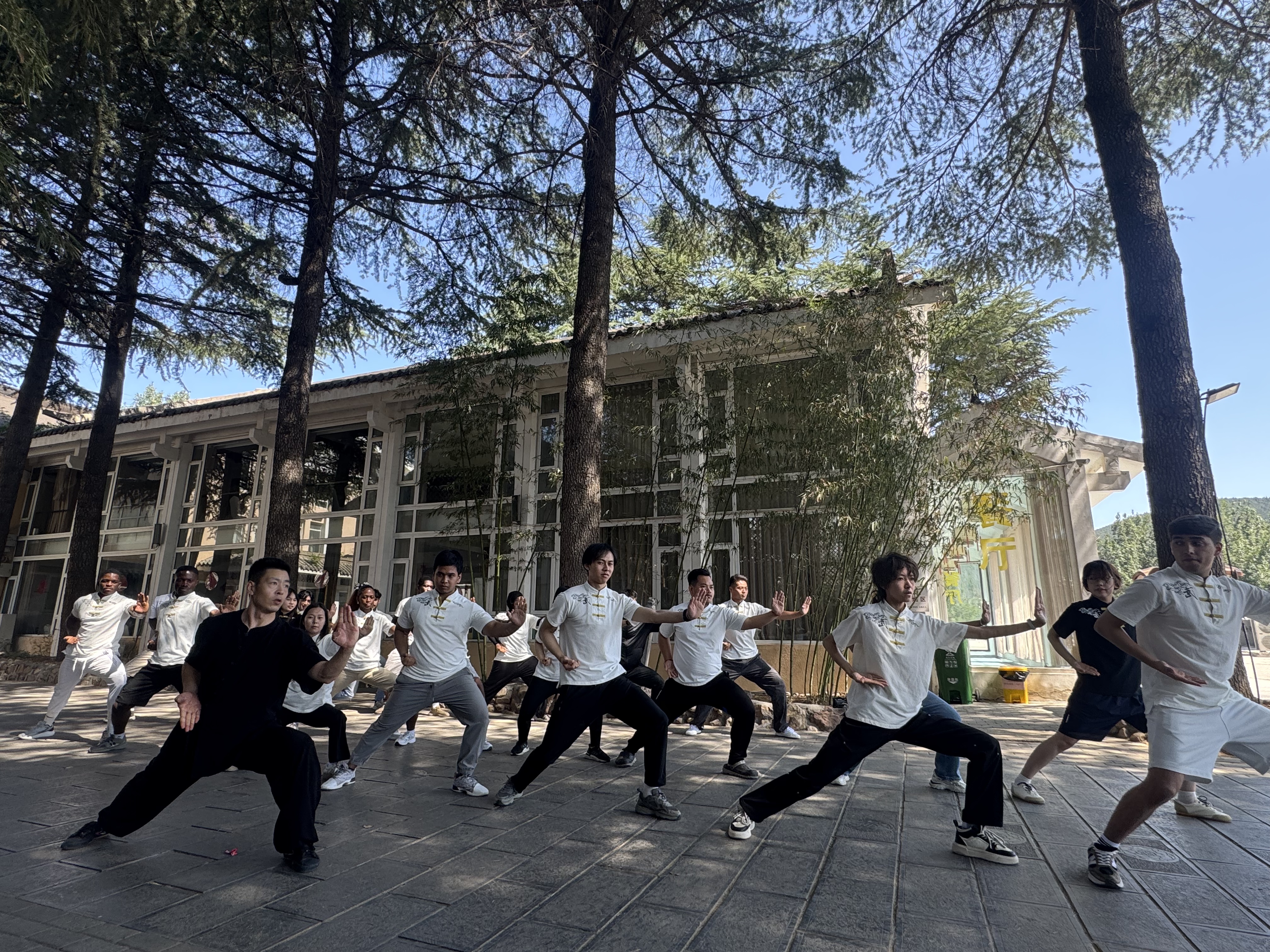 中外大学生亲赴武术发源地  开启沉浸式习武之行_fororder_e6f5860ba67a3886737a87b8503182e7
