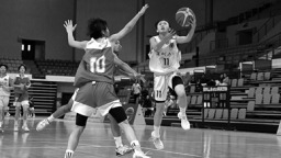 广东青少年篮球联赛收官