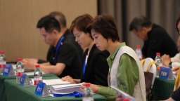 丁宁当选北京市乒协会长 张怡宁当选理事