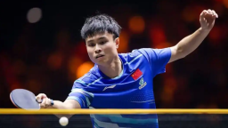 WTT球星挑战赛多哈站：国乒包揽男单冠亚军