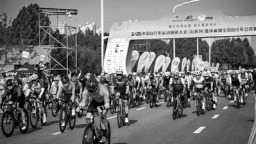 全民健身热潮涌动 “科创名城”活力满满