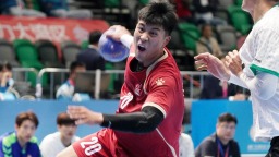 十五运会香港赛区场馆巡礼