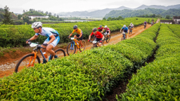 发挥体育独特作用 助力乡村全面振兴