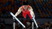 体操世界杯开罗站：刘洋获男子双杠冠军