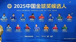2025中国金球奖候选名单揭晓