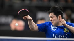 樊振东获留洋生涯首冠