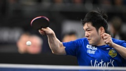 樊振东获留洋生涯首冠