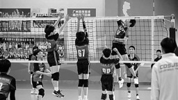 穗港澳青少年排球邀请赛燃动广州