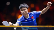 WTT球星挑战赛多哈站：国乒包揽男单冠亚军