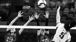 女排“小国手”期待发挥“大作用”_fororder_zgtyb1113003_001_01_b