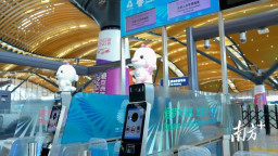 香港入境处设16条全运会专属通道，运动员7秒通关