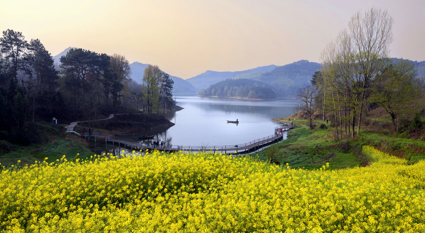 信阳市新县：深山里的“蜂语者”_fororder_隐谧在山水花田深处的邱湾村（ 新县香山湖管理区供图）