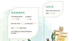南阳月季，何以一路繁花？