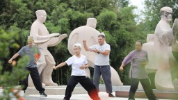 俄罗斯“洋弟子”陈一梅的15年太极情缘