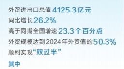 2025年上半年河南外贸规模创历史同期新高