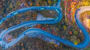 中原初冬蕴诗意