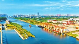 “冷”食力链出“新鲜时速”——看漯河冷链物流如何从区域枢纽辐射全国网络