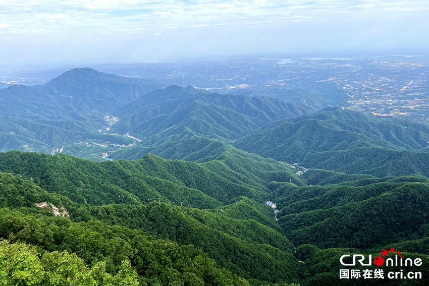 河南济源：传承弘扬愚公移山精神 赋能文旅融合发展新业态_fororder_王屋山上林茂风清、景色宜人