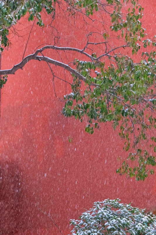 Z视觉 | 落雪覆飞檐 这份中式浪漫藏不住了_fororder_56182bd443ec4f5a9aaec59e30c8ef5a