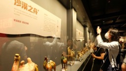 【老外在河南】巴基斯坦姑娘“触摸”丝路文明 探索中国之美