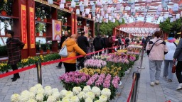 第十五届中国菊花展览会在开封开幕 焕活古都文旅新活力