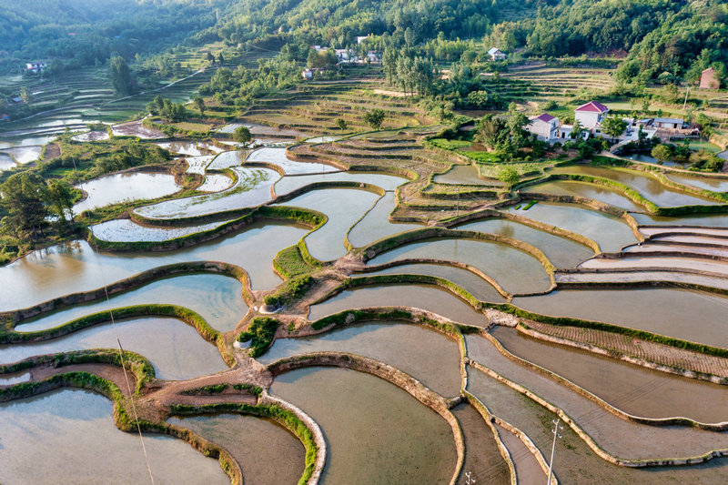 信阳市固始县：梯田层层 禾秧点点_fororder_DJI_0374