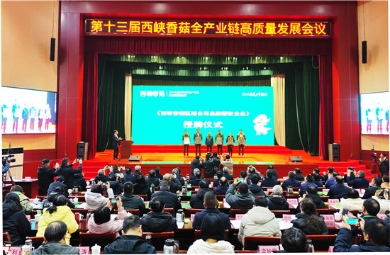 南阳市西峡县以“链”聚势 打造香菇产业新高地