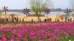 春季赏花 畅游南阳 南阳新野县赏花旅游季启动