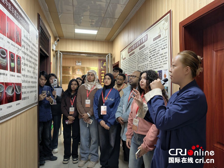 “针”不错！外国青年、网络达人揭开中医针法神秘面纱_fororder_1