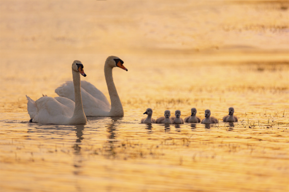 Z视觉 | 钢铁机甲、美哉宋陵、晴云阁月升……镜头里的郑州也太美了