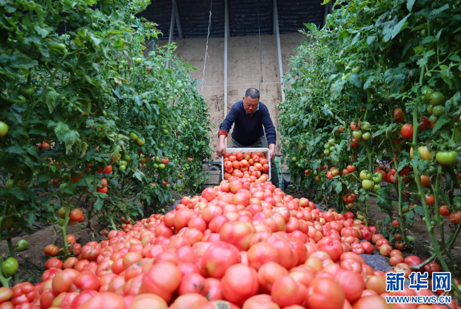 河南全力保障春节市场供应_fororder_20260118b4aa675bd877434f803f3e7f58fb1c8d_20260118c93b15161a4048e0a77c093857506f2c