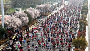 赴安马 读殷商！2.6万名跑者解锁“有文化的马拉松”