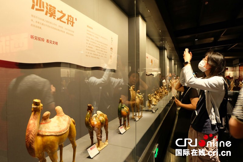 【老外在河南】巴基斯坦姑娘“触摸”丝路文明 探索中国之美_fororder_微信图片_20250820092055