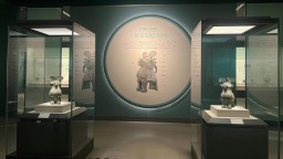“孪生”妇好鸮尊首次在豫合体 青铜器里的“显眼包”来啦