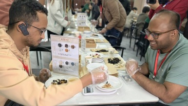 药香漫南阳 外国青年与网络达人共探中医药文化奥秘