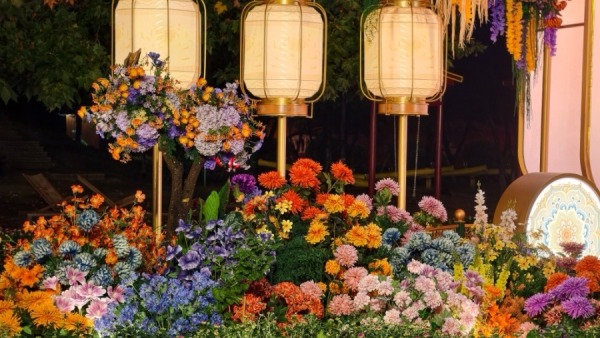宋韵开封菊香溢 皇城夜色迎宾朋