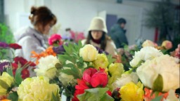 南阳市社旗县：小县“花”开世界香