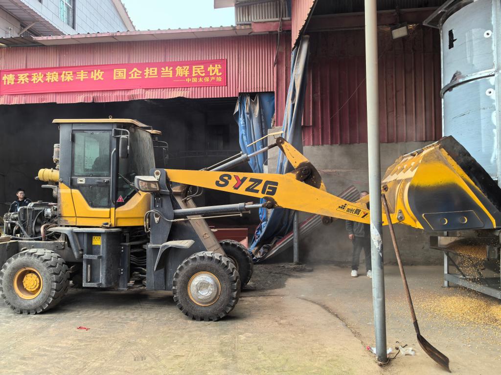 河南多点发力守护秋粮安全