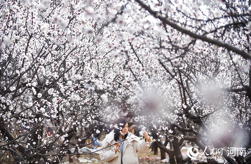 看河南卫生健康如何把“民生清单”变成“幸福账单” 惠民实事清单里的温度与力度_fororder_3.JPG