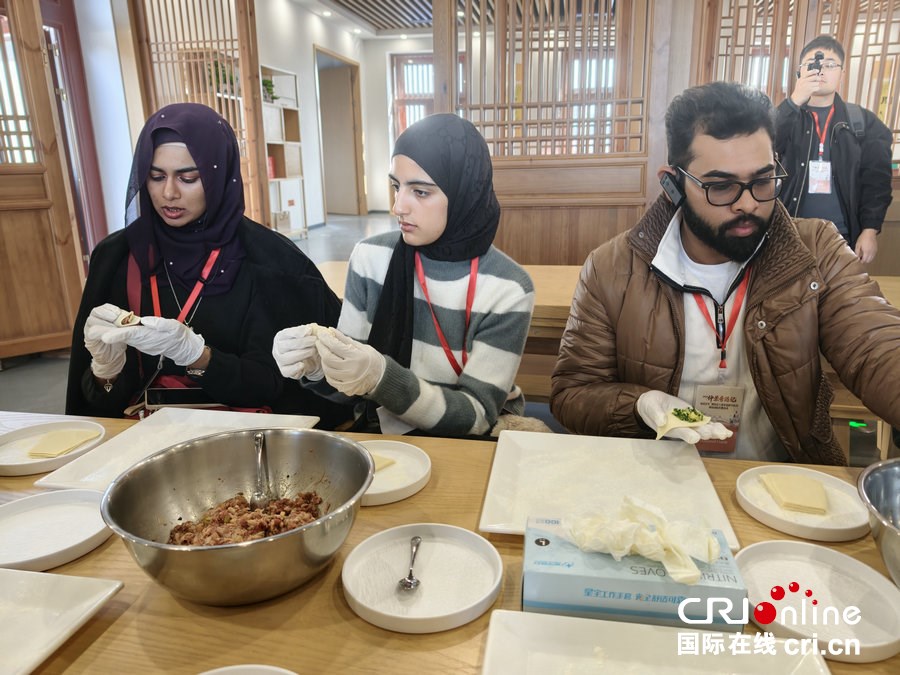 外国青年、网络达人走进南阳医圣文化园 对话千年中医药文明_fororder_4