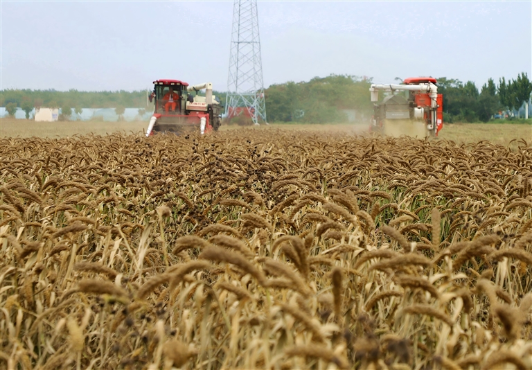 为中原粮仓装上法治安全阀