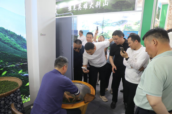 信阳市商城县：高山茶香迎客来_fororder_现场手工制茶引来直播达人  洪晓燕 摄.JPG