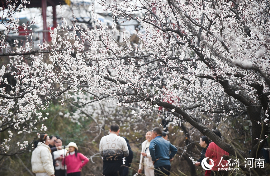 看河南卫生健康如何把“民生清单”变成“幸福账单” 惠民实事清单里的温度与力度_fororder_9.JPG