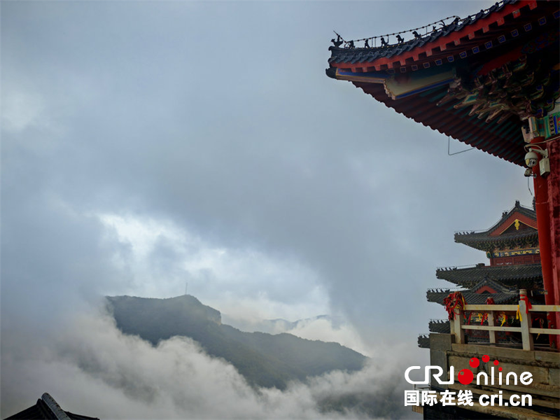 2025“山水相豫 大美河南·焦作‘一赛一节’”网络主题宣传活动举行_fororder_图片3