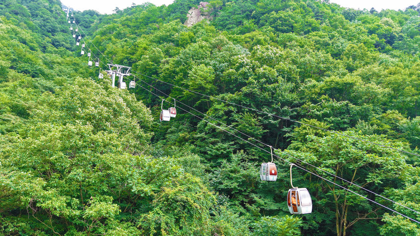 2025南阳市推动文化繁荣兴盛暨文旅产业发展大会召开_fororder_游客在西峡县老界岭景区乘坐缆车 摄影 王小军