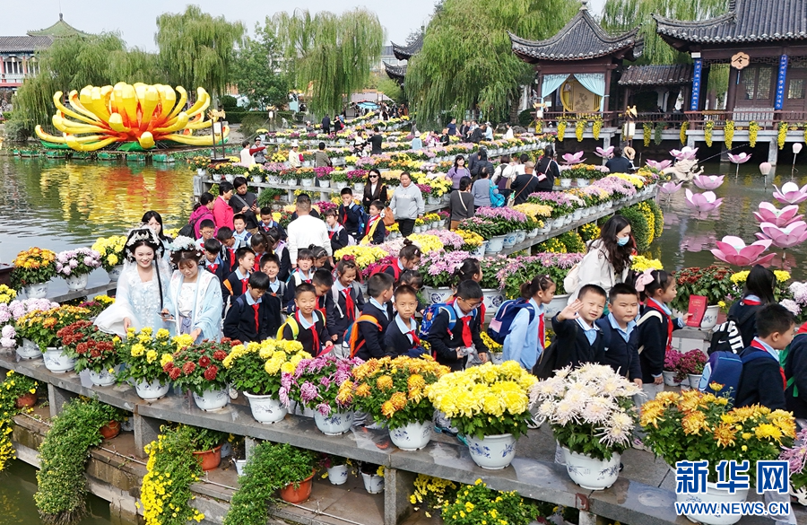 河南开封：满城菊香迎客来