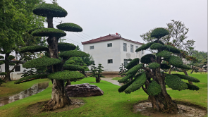 第二十三届中原花木交易博览会在许昌鄢陵开幕